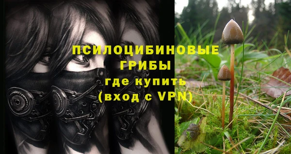 тгк Верхний Тагил
