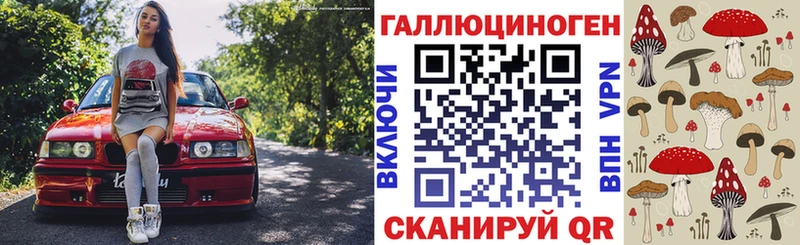где продают   omg онион  Псилоцибиновые грибы Psilocybine cubensis  Жиздра 